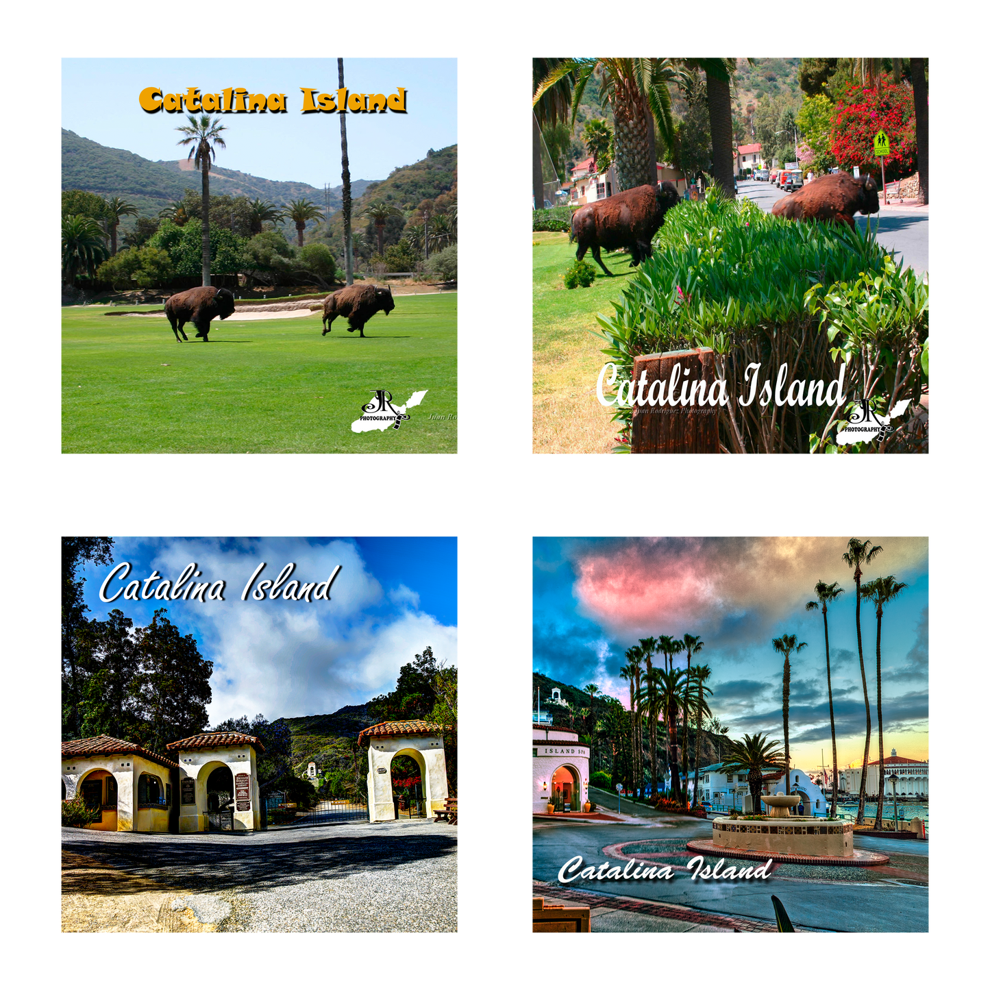 Sandstone Coaster Set of 4 - ASST Catalina Island Scenes