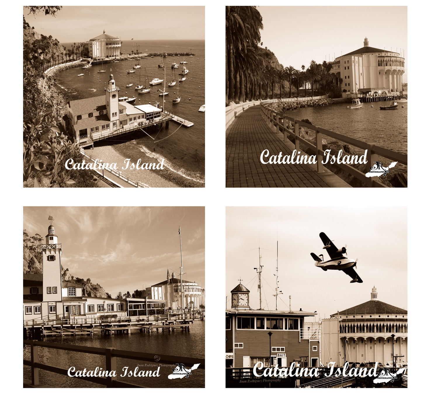 Sandstone Coaster Set of 4 - ASST Catalina Island Scenes