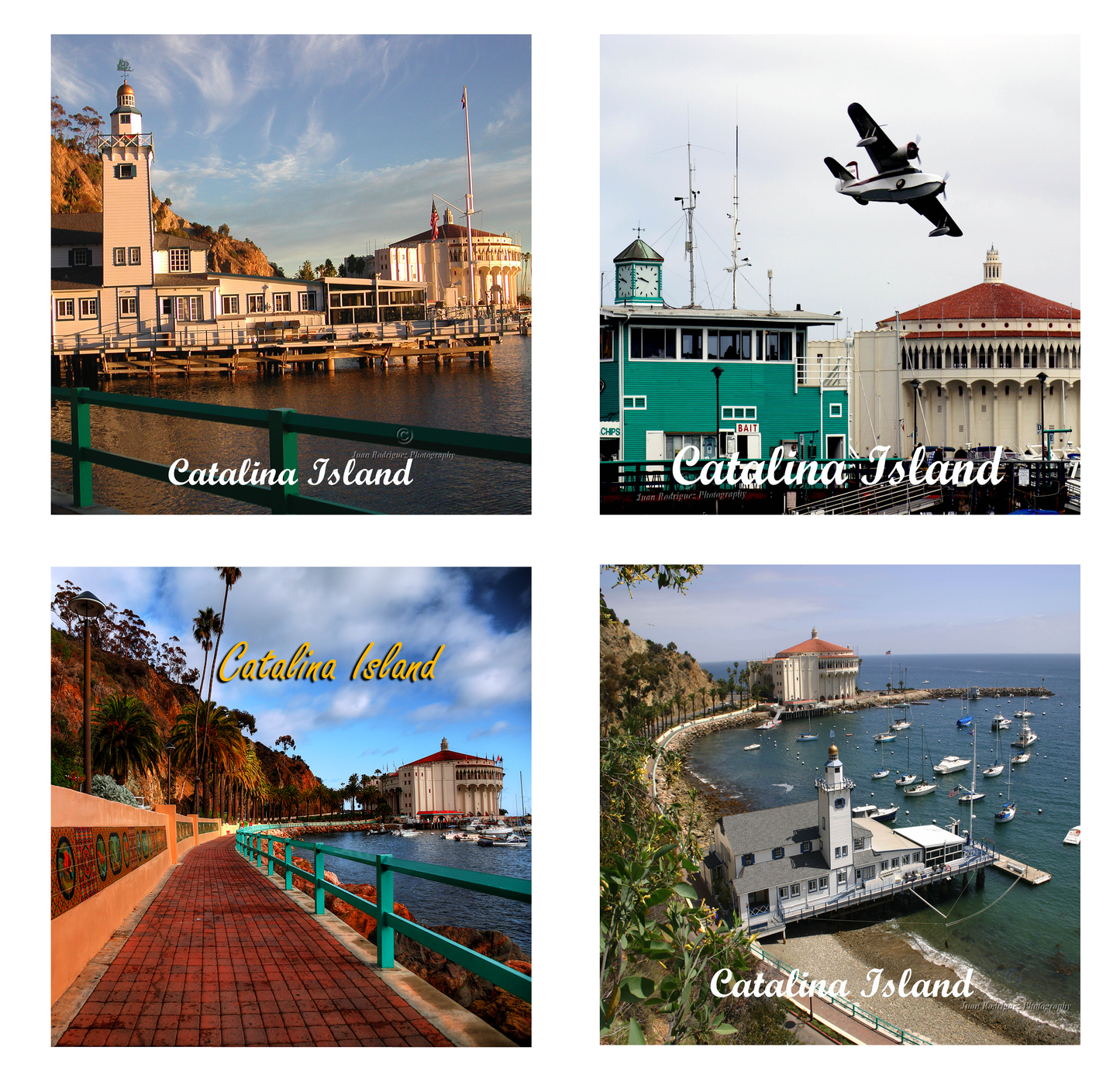 Sandstone Coaster Set of 4 - ASST Catalina Island Scenes