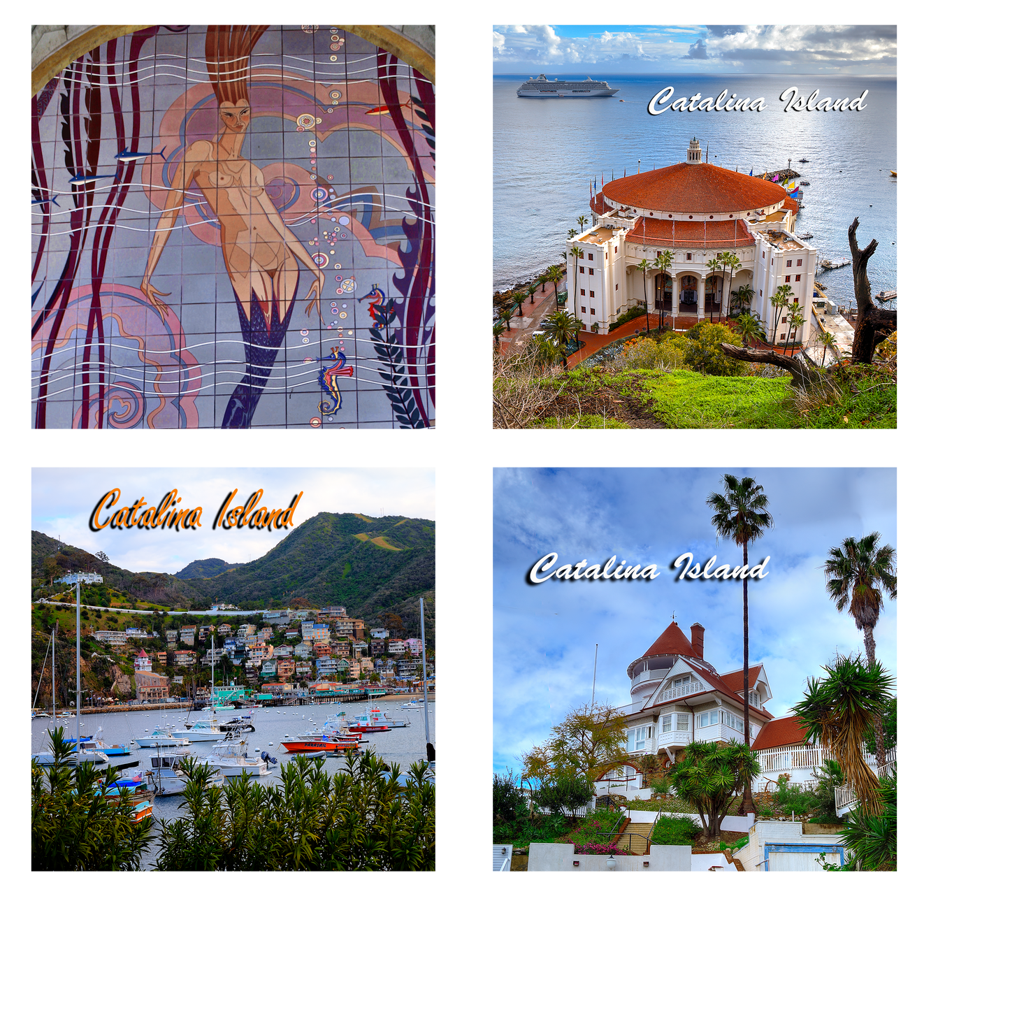 Sandstone Coaster Set of 4 - ASST Catalina Island Scenes