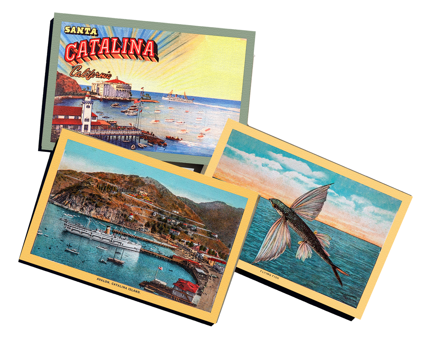 Vintage Wooden Catalina Postcard Set of 3 - ASST