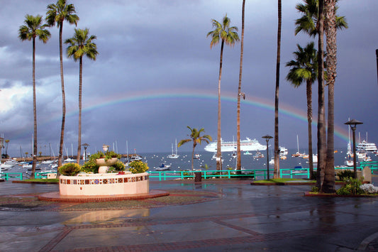 01 - After the storm 2(1) — Catalina Island photograph by Juan Rodriguez