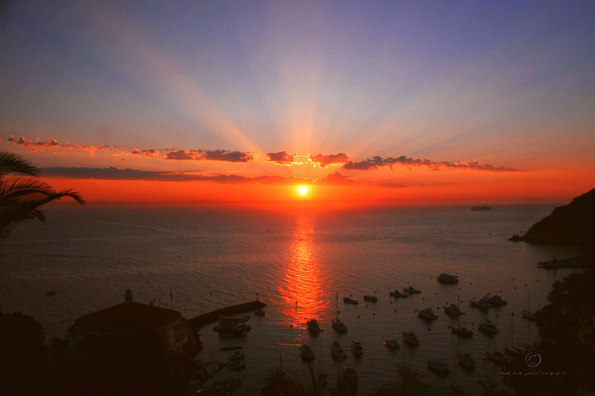 11 - Avalon Sunrise — Catalina Island photograph by Juan Rodriguez