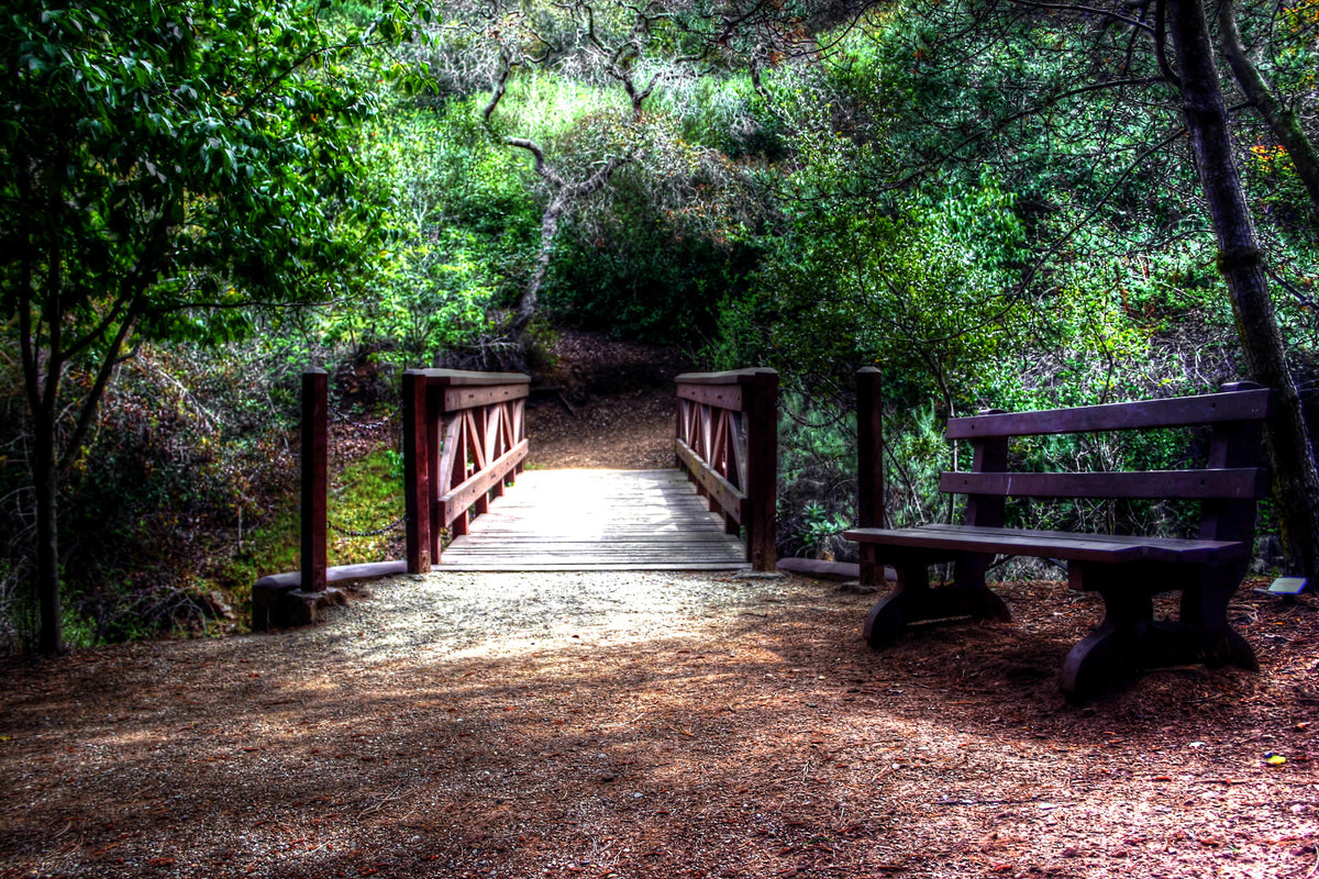 19 - Bridge tonemapped — Catalina Island photograph by Juan Rodriguez