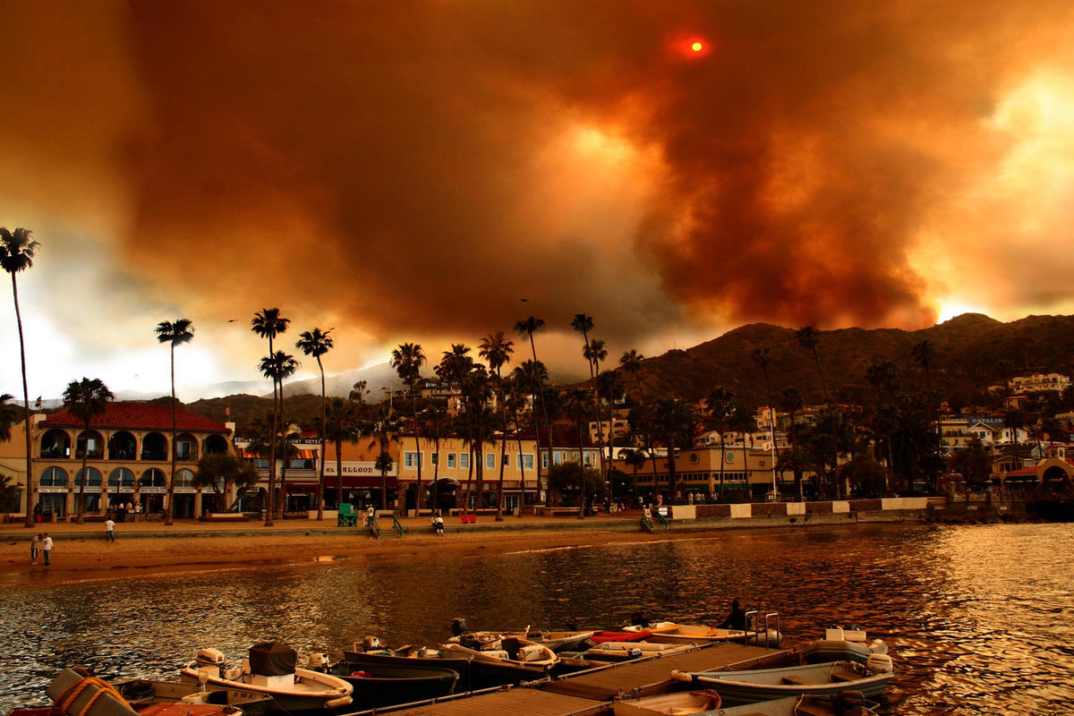 27 - Close Call — Catalina Island photograph by Juan Rodriguez