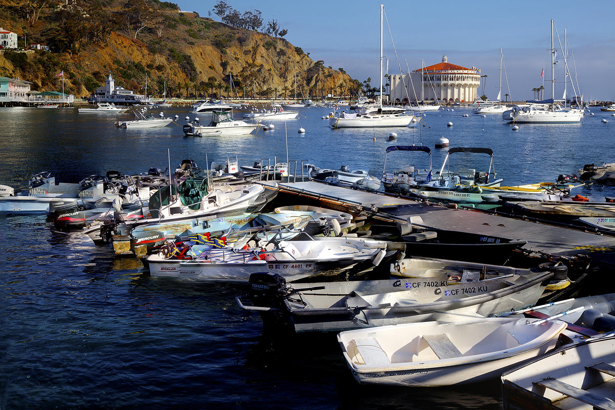 30 - Dinghies 2 — Catalina Island photograph by Juan Rodriguez