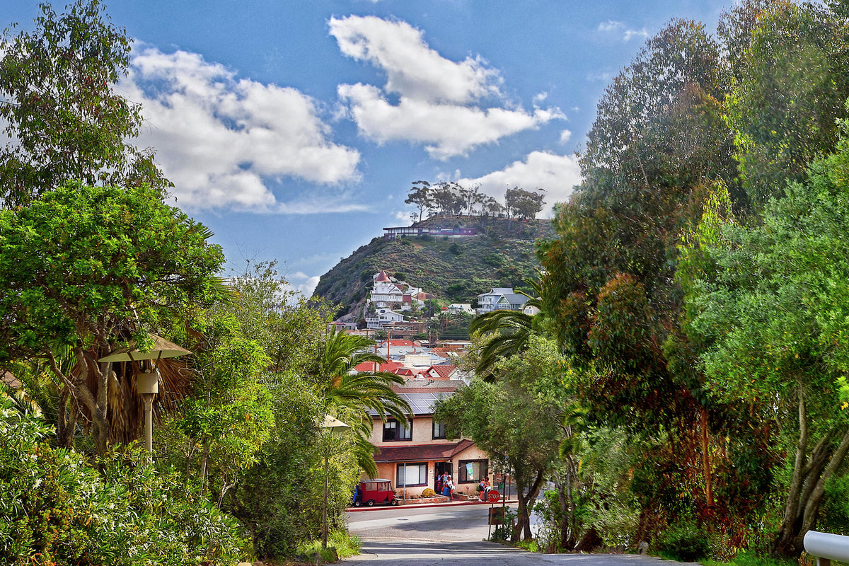 32 - Down CC DR HD — Catalina Island photograph by Juan Rodriguez