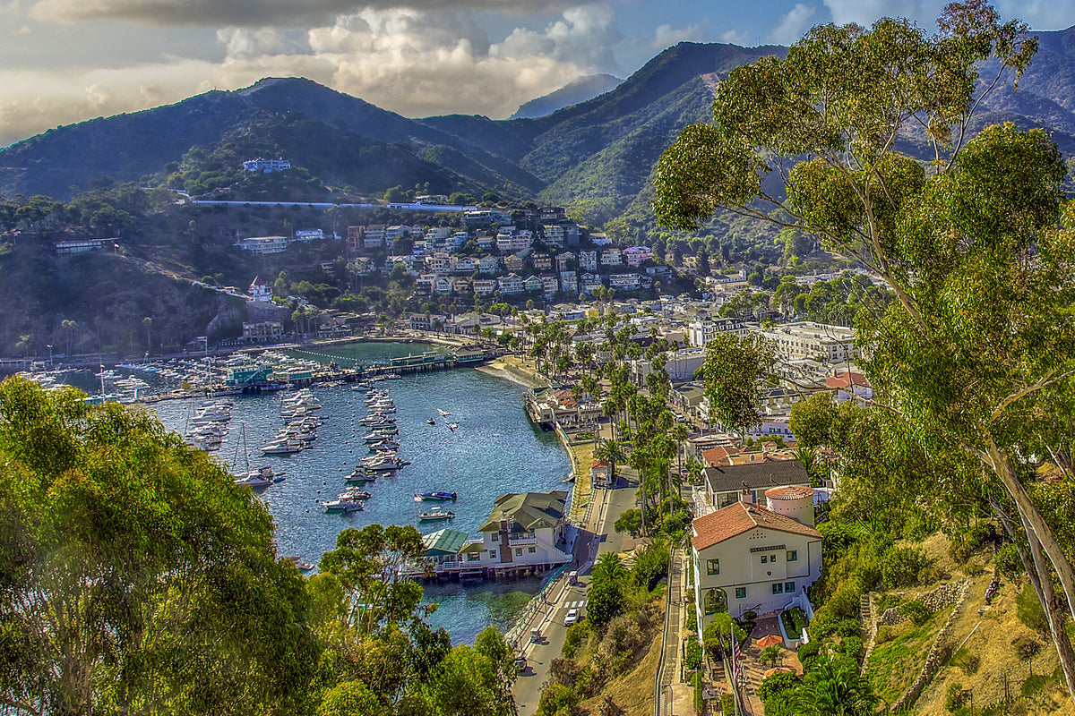 39 - FRont Street — Catalina Island photograph by Juan Rodriguez
