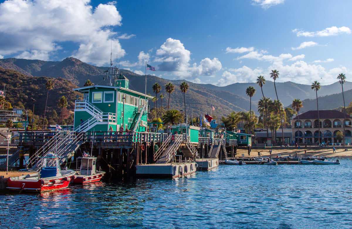 40 - Green Pleasure Pier — Catalina Island photograph by Juan Rodriguez