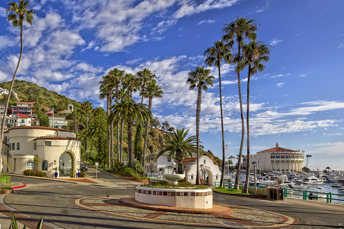 42 - Icons 1 — Catalina Island photograph by Juan Rodriguez
