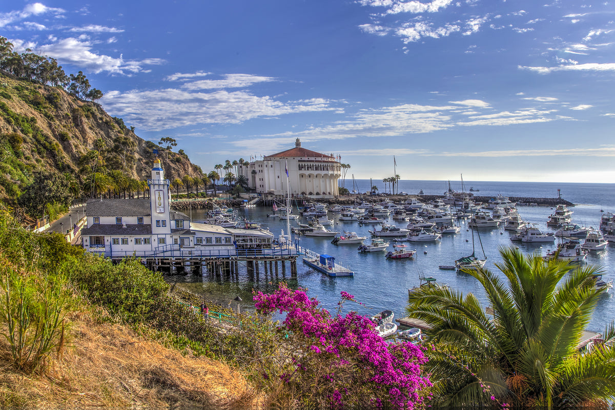 46 - Morning Harbor — Catalina Island photograph by Juan Rodriguez