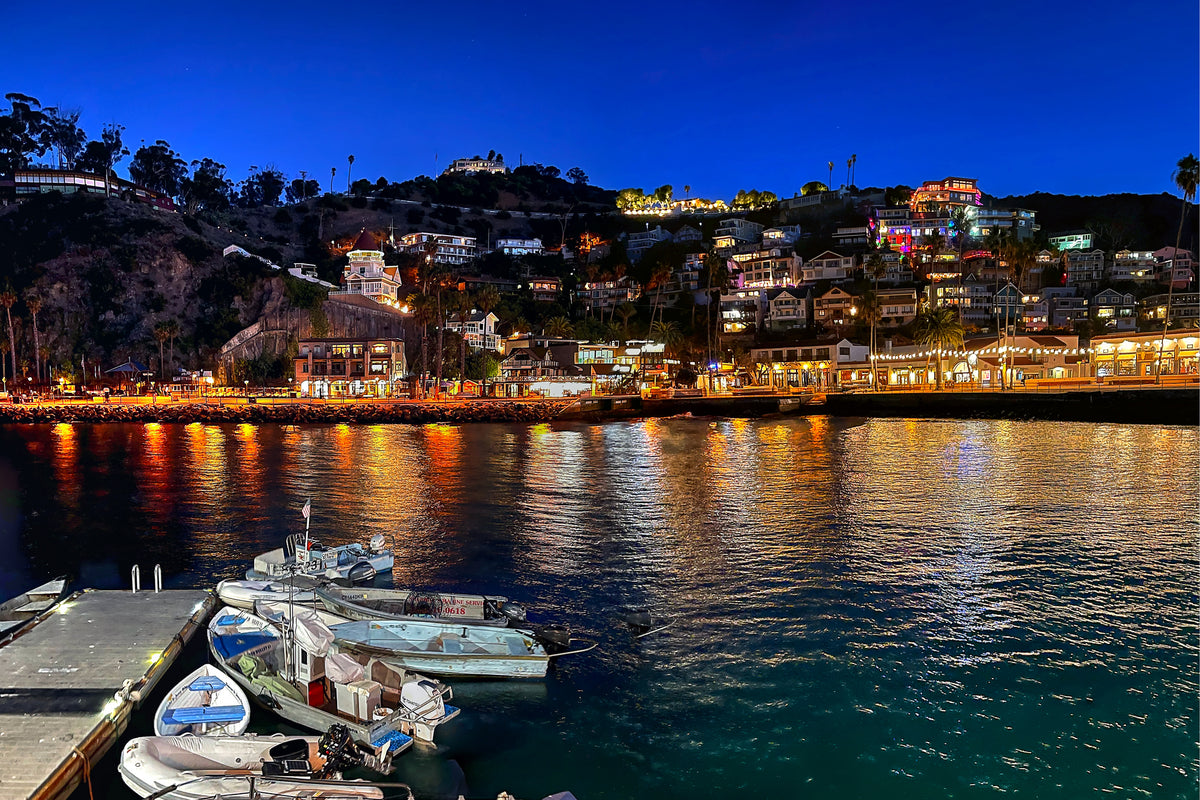 49 - Night East L-Recovered — Catalina Island photograph by Juan Rodriguez