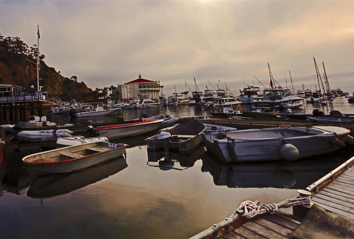 54 - Peacefull Morning — Catalina Island photograph by Juan Rodriguez