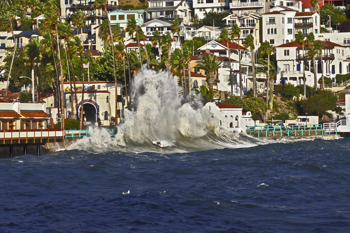 58 - Rough Day too — Catalina Island photograph by Juan Rodriguez