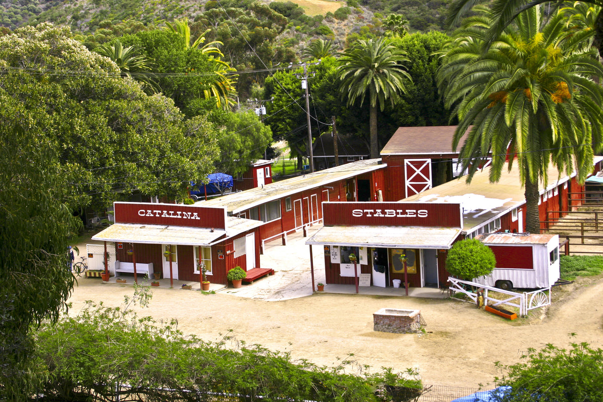 60 - Stables Clean — Catalina Island photograph by Juan Rodriguez
