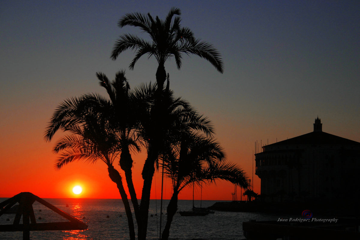 61 - Sunrise Dream — Catalina Island photograph by Juan Rodriguez