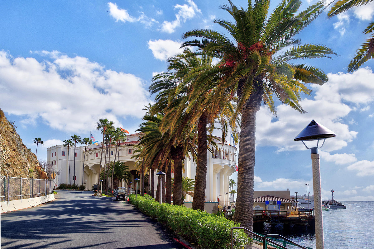 64 - To Casino 1 HD — Catalina Island photograph by Juan Rodriguez