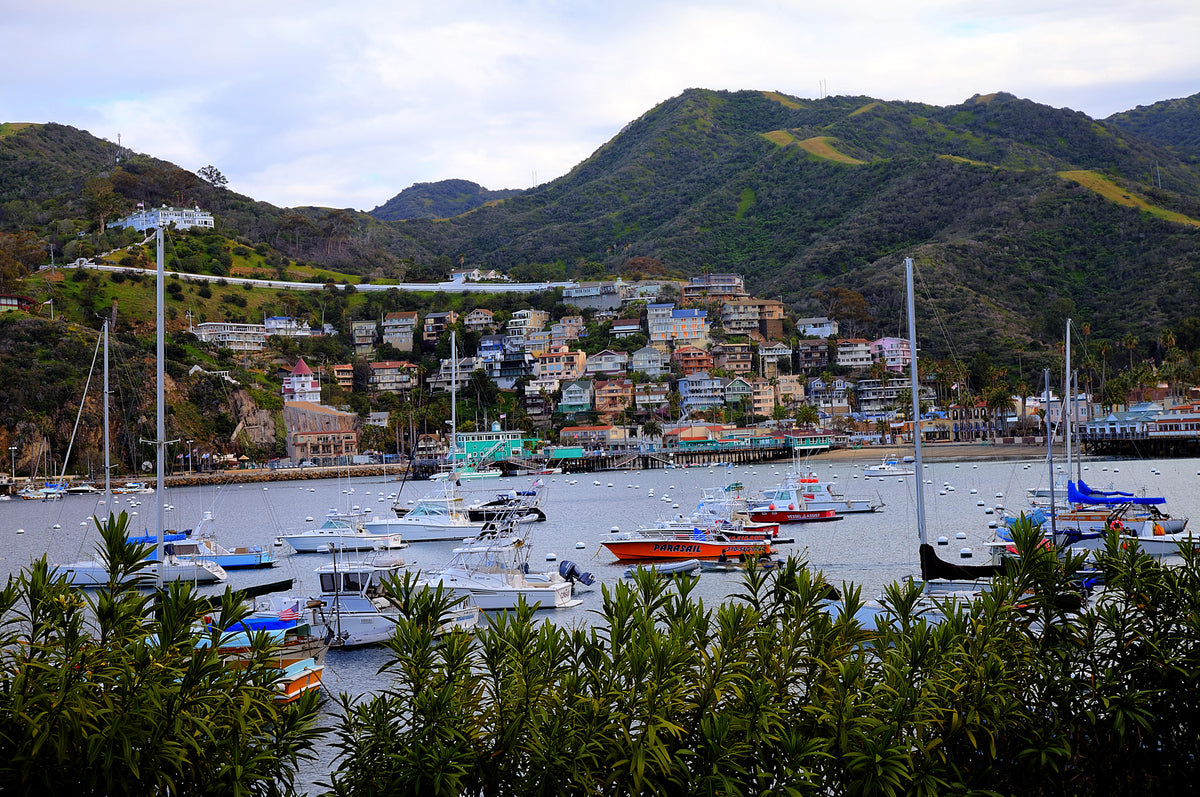 68 - West Avalon — Catalina Island photograph by Juan Rodriguez